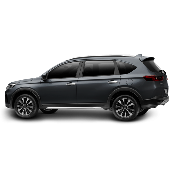 BRV1
